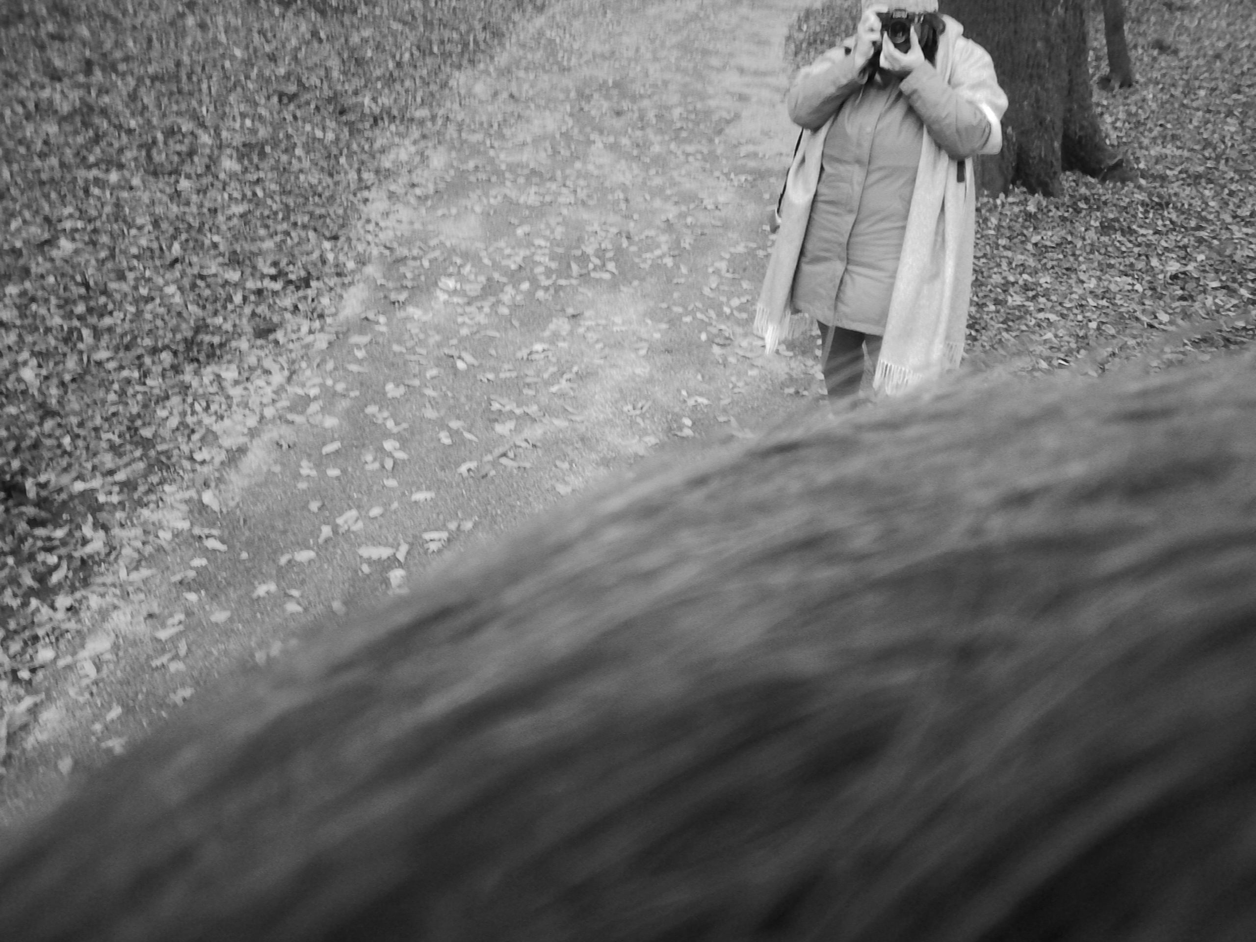 Up on papa’s shoulders taking a picture of mama.