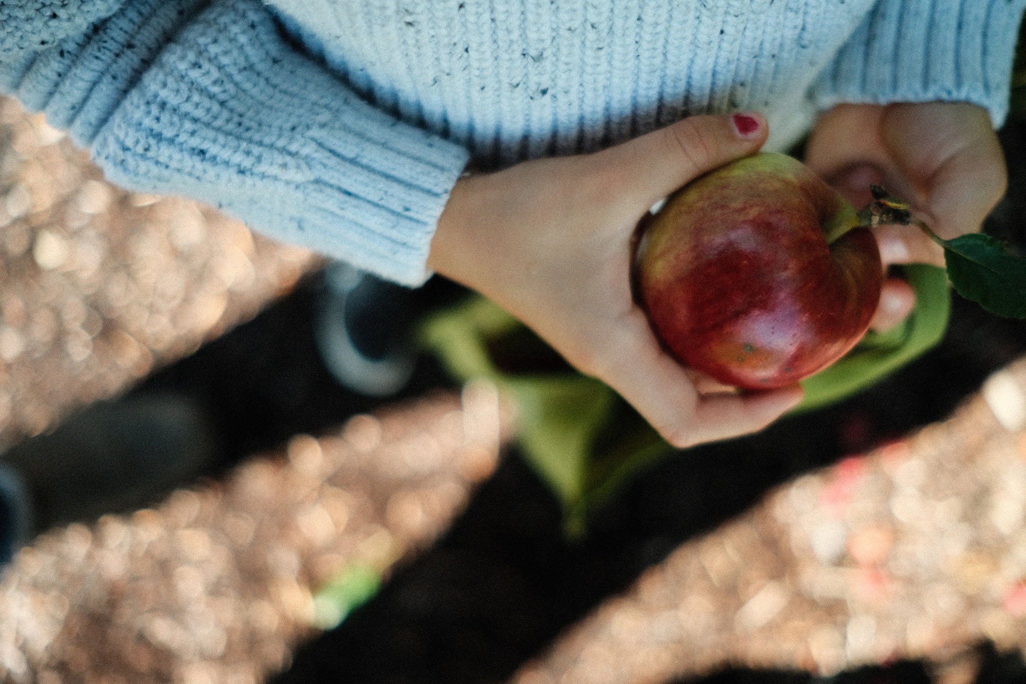 Apple picking