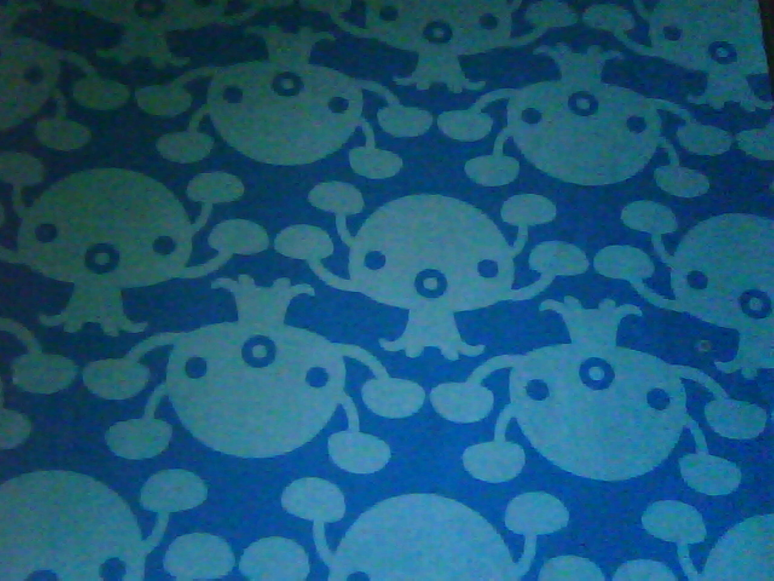 A picture of my Octonauts book!