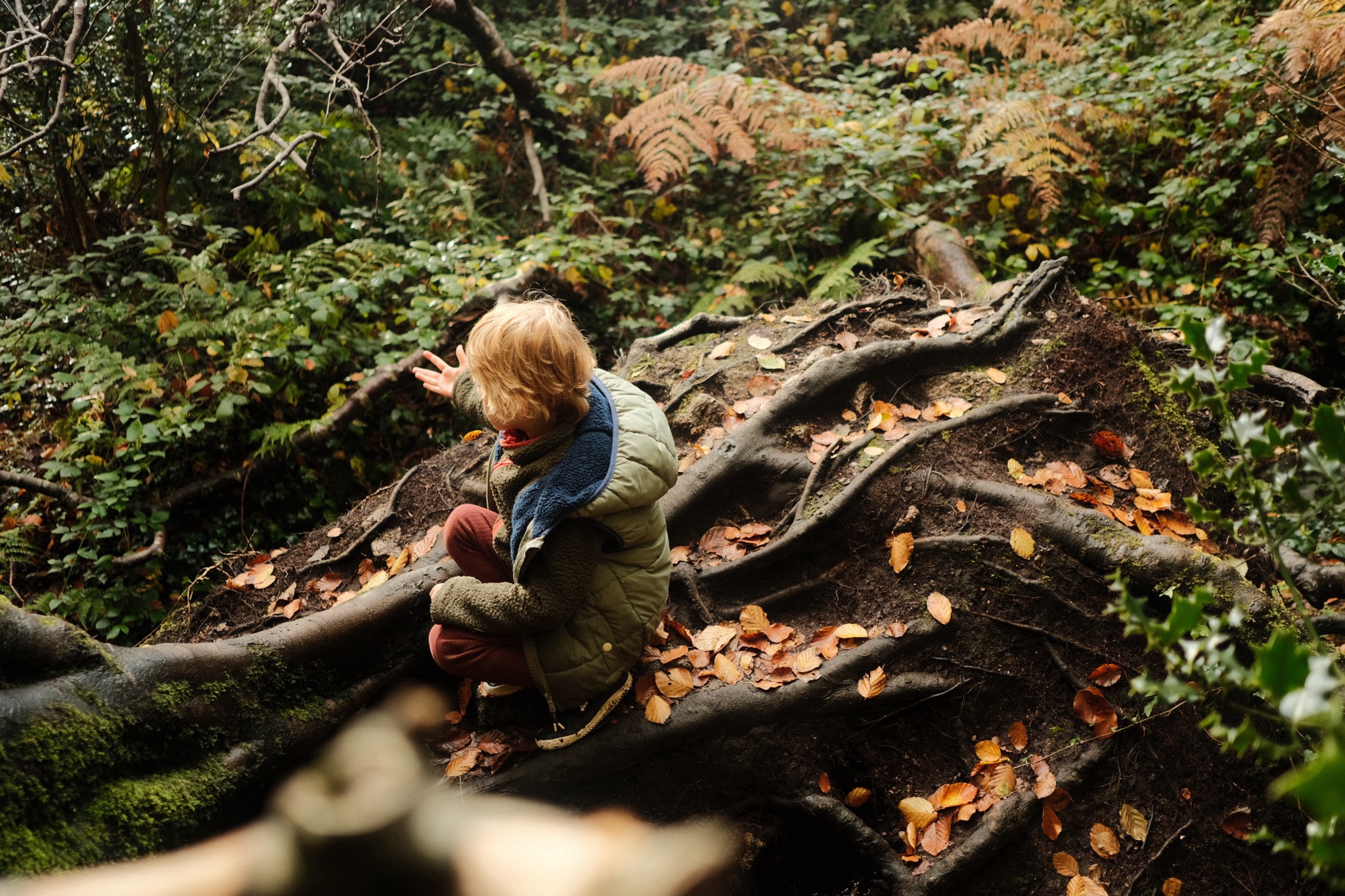 Barna Woods